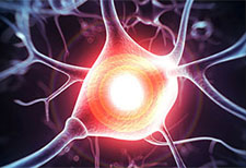 Best Ways to Improve Your Memory